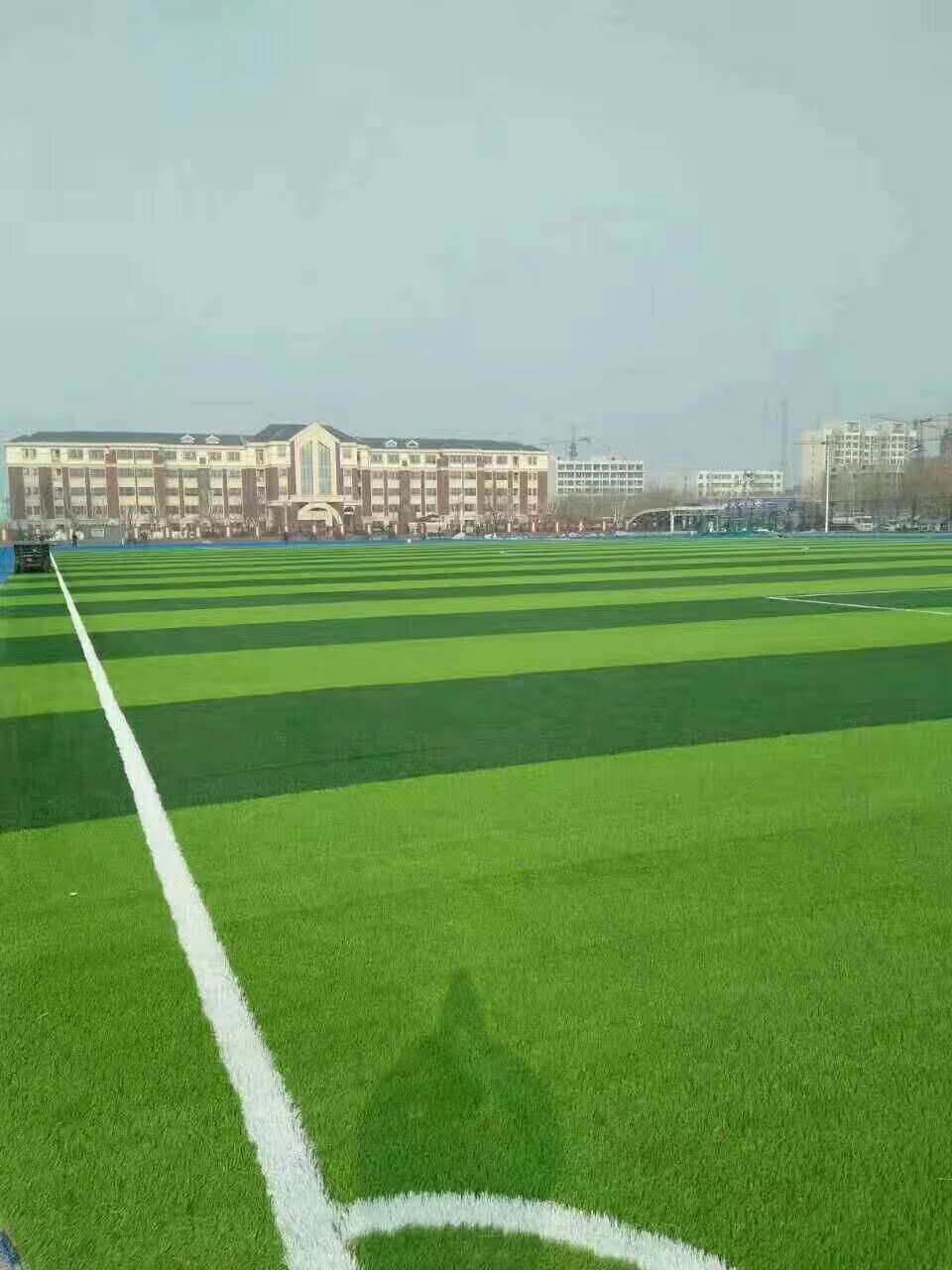 许昌市混合型塑胶跑道仿真草坪 - 价格